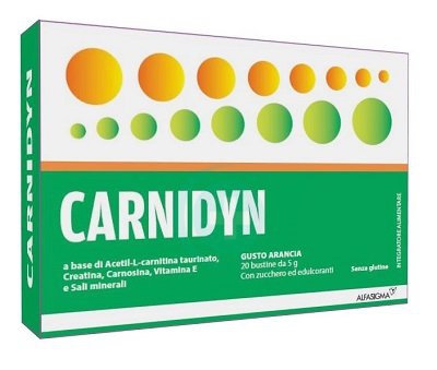 Carnidyn Integratore Alimentare Creatina Carnosina Vitamina E 20 Buste 5 g